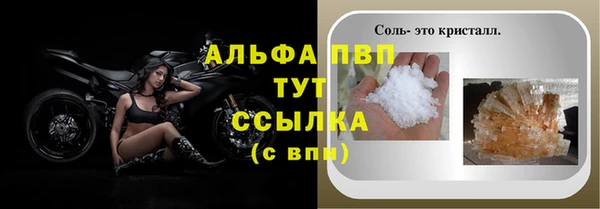 сатива Балахна
