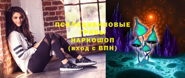 сатива Балахна