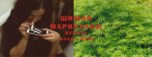 сатива Балахна