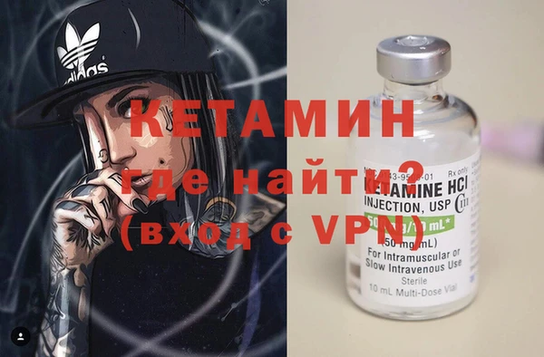 сатива Балахна