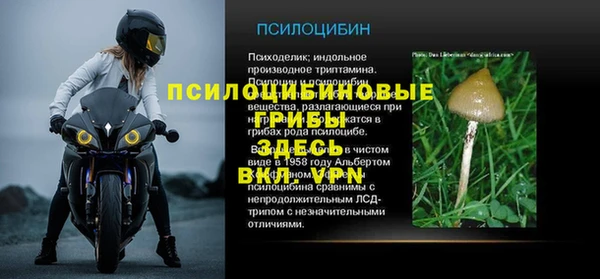 сатива Балахна